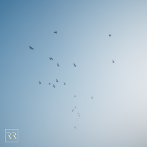 91在线无精精品㊙️一区
