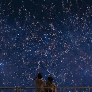 91在线无精精品㊙️一区
