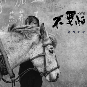 91在线无精精品㊙️一区
