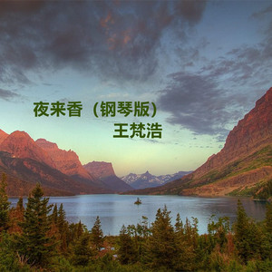 91在线无精精品㊙️一区
